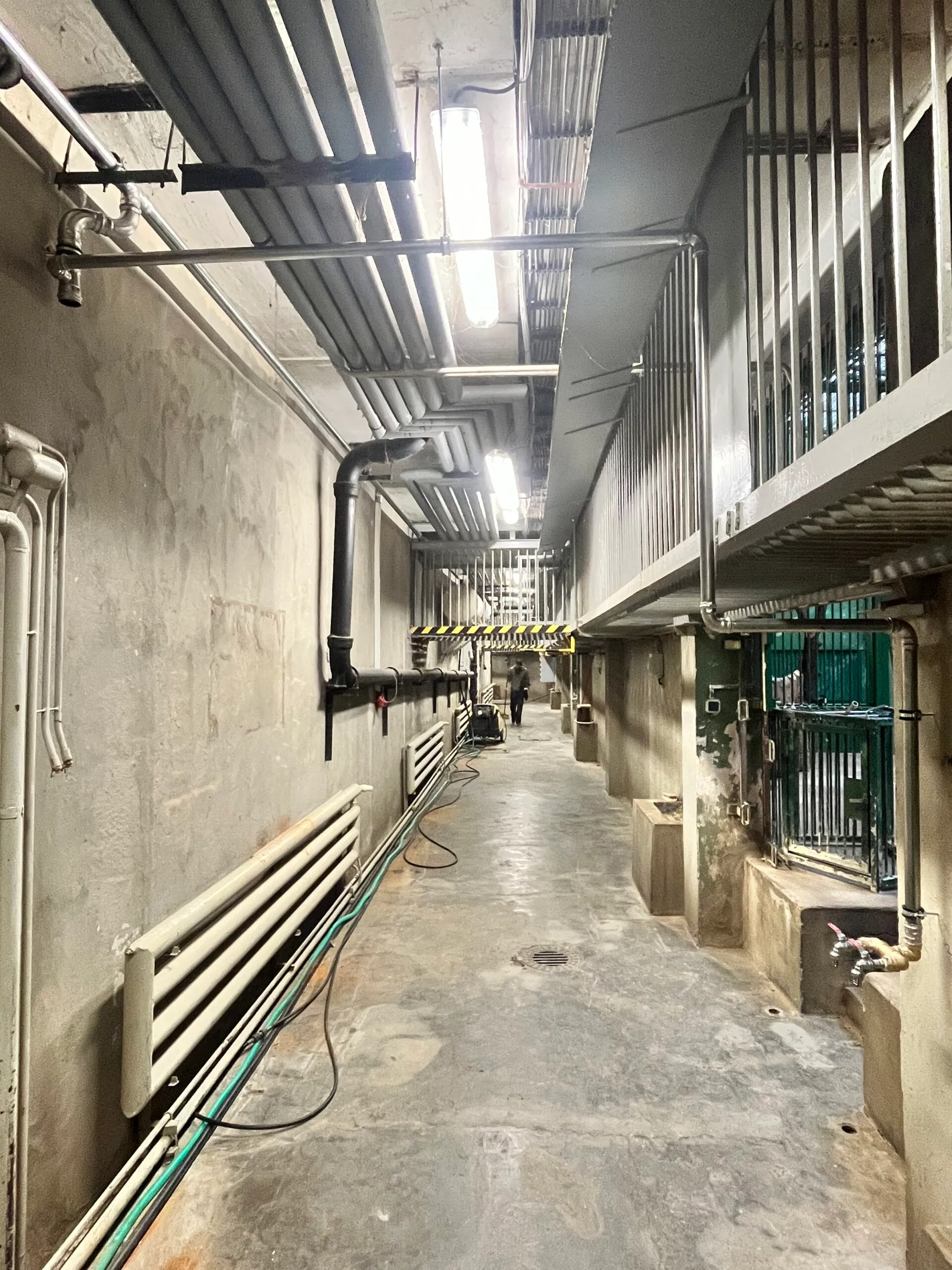 Zoo Praha — výměna vodovodního potrubí v pavilonu Šelminec — fotografie 3