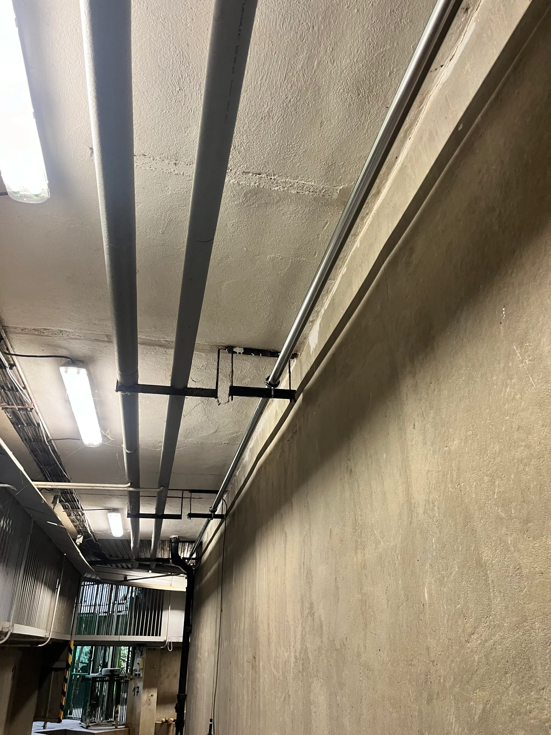 Zoo Praha — výměna vodovodního potrubí v pavilonu Šelminec — hlavní fotografie projektu